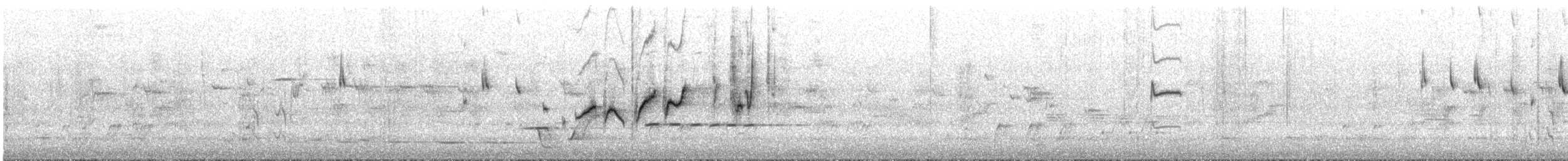 Weebill - ML645308388