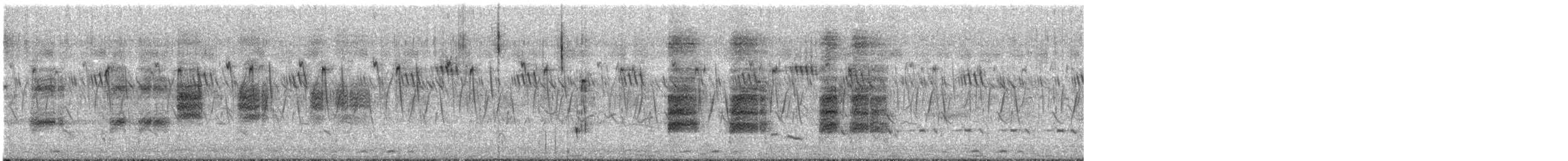 Frankolin beltza - ML645308402