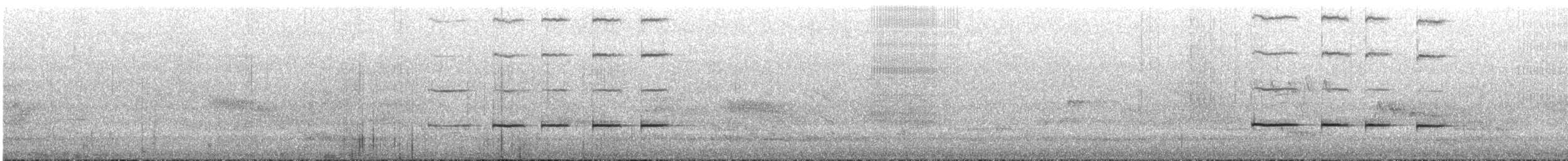 Australian Ringneck (Mallee) - ML645308476