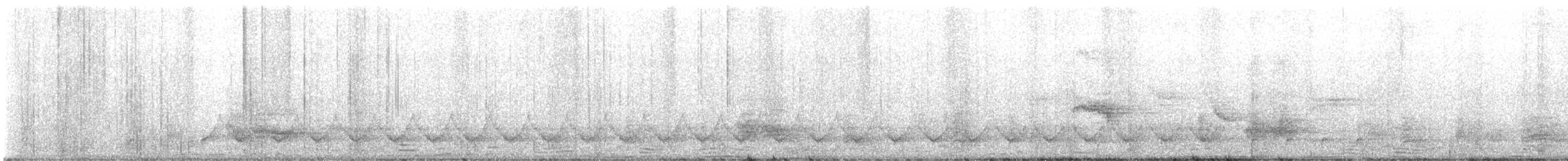 White-browed Gnatcatcher - ML645308511