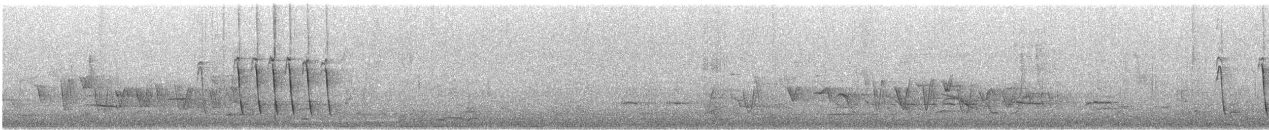 White-fronted Honeyeater - ML645308520