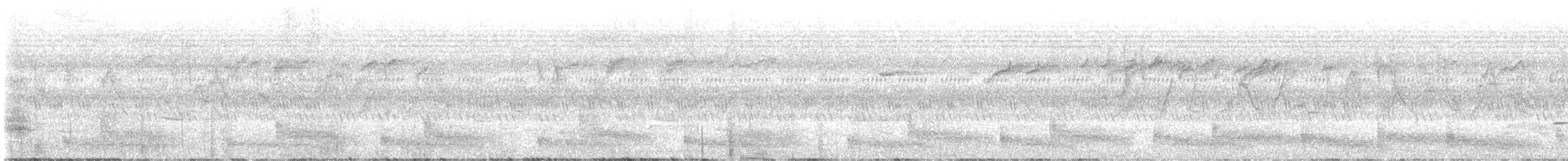 White-breasted Waterhen - ML645308527