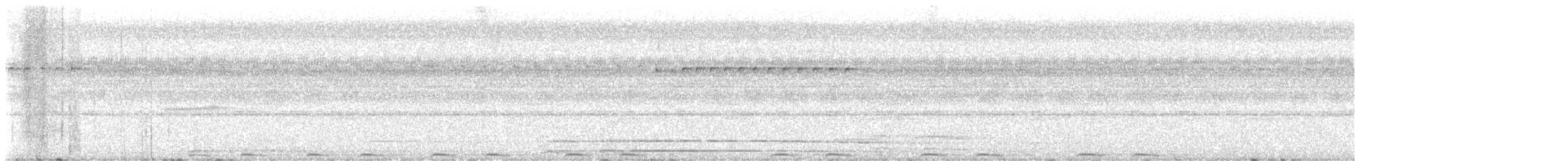 Chocolate Boobook - ML645308569