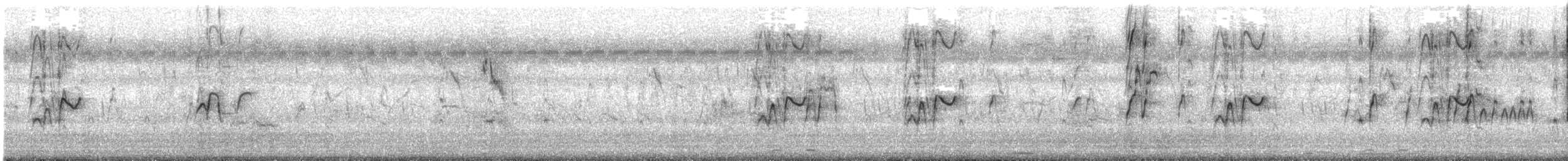 Suirirí de Java - ML645308698