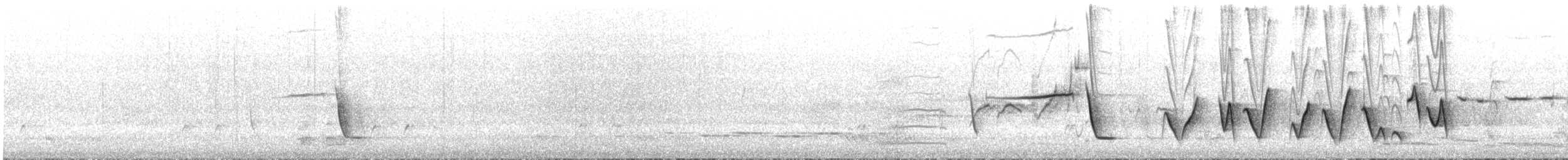 Silbador Rufo - ML645308719