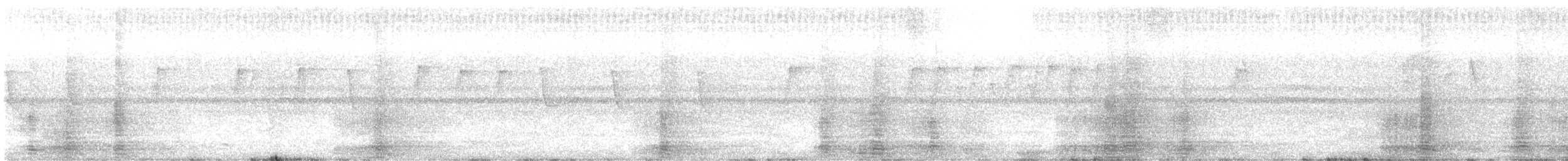 Cálao Bicorne - ML645308940