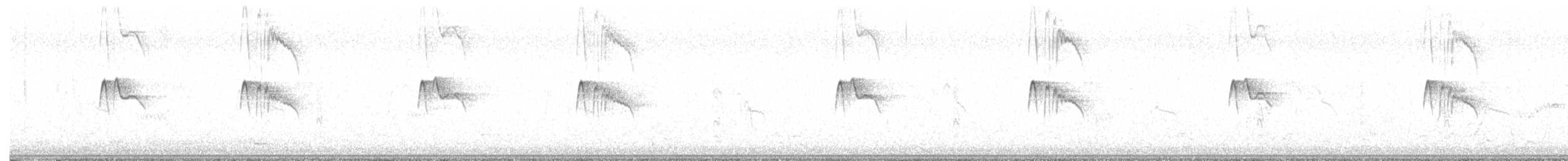 svartfibi - ML645309239