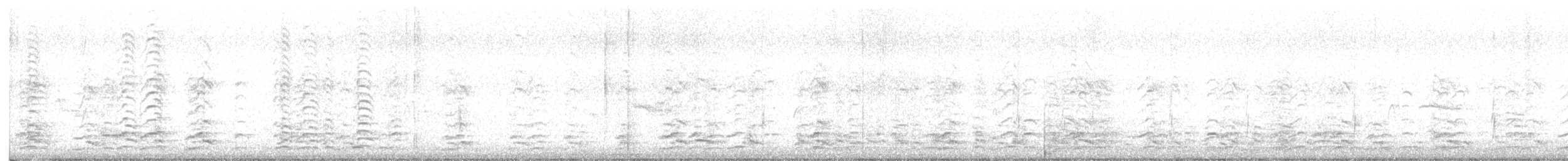 Barnacla Canadiense Chica - ML645309268