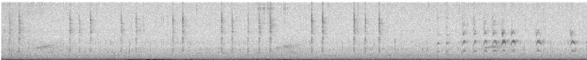 Cucarachero Pantanero - ML645309271