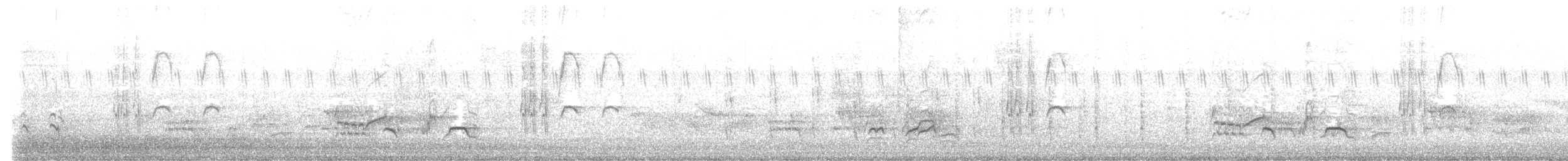 Mirlo de Isla Navidad - ML645309319