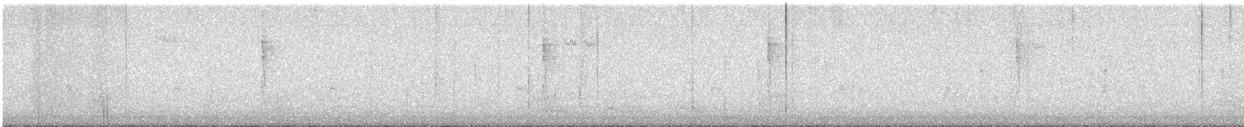 Chochín del Pacífico - ML645309320