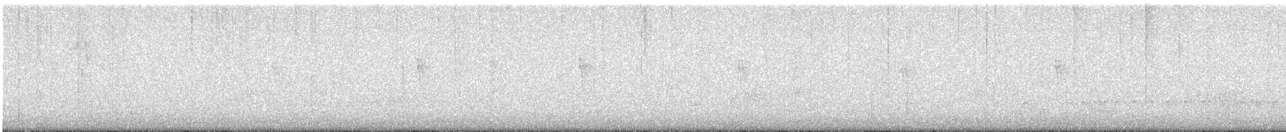 Chingolo Pantanero - ML645309324