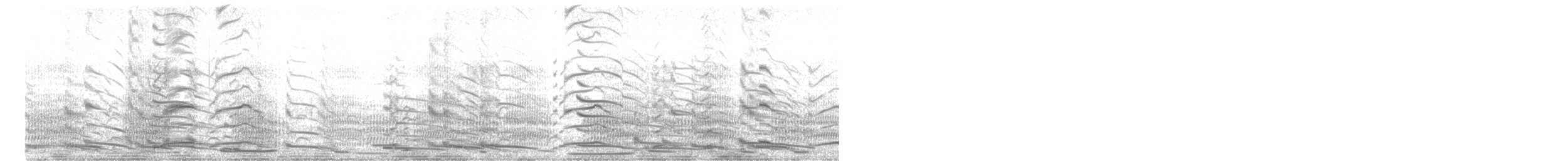 Black Swan - ML645310064