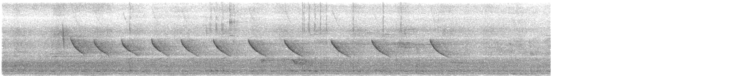 Красношапочная портниха - ML645311272