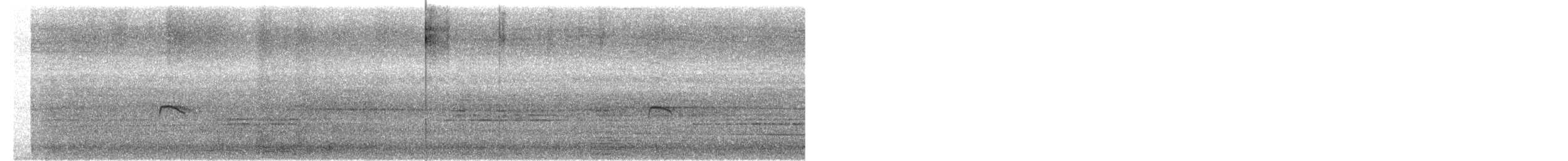 シマキンパラ - ML645311686