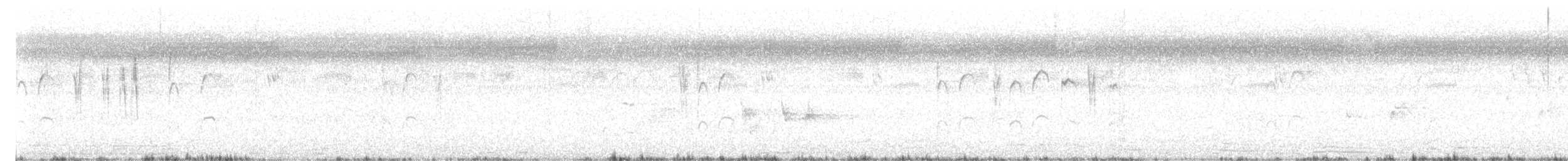 ハイムネハウチワドリ - ML645311721