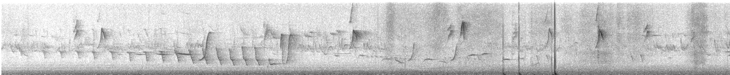 Noisy Scrub-bird - ML645311725