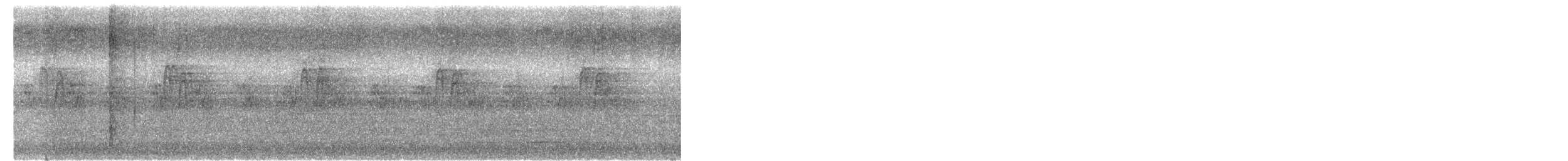 Ashy Prinia - ML645311737