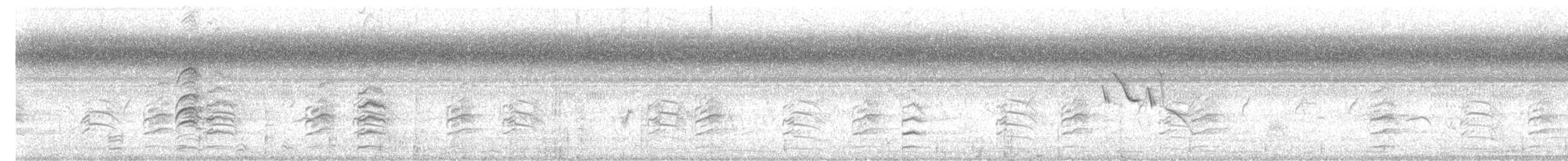 Black-winged Stilt - ML645311746