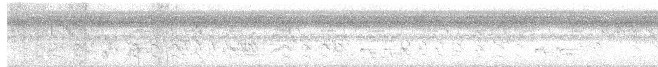 Rose-ringed Parakeet - ML645312179