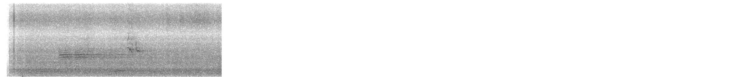 White-browed Wagtail - ML645312185