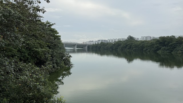 Lorong Halus Wetland (inc. Serangoon Reservoir and former 'Serangoon'),  Singapore, Singapore - eBird Hotspot