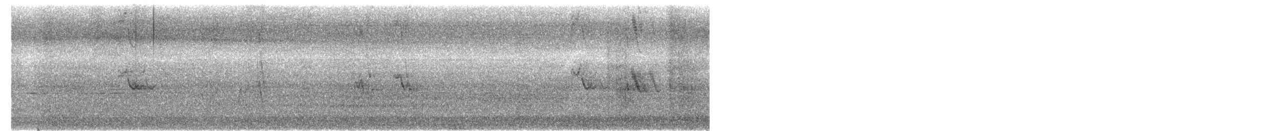 White-browed Wagtail - ML645312210