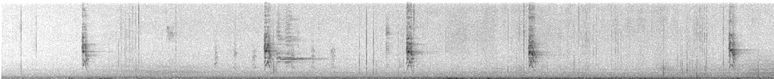 Noisy Scrub-bird - ML645312293