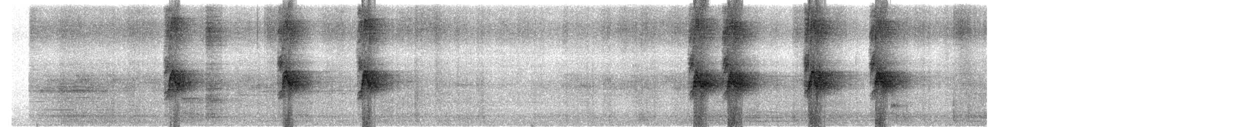 House Sparrow - ML645312391