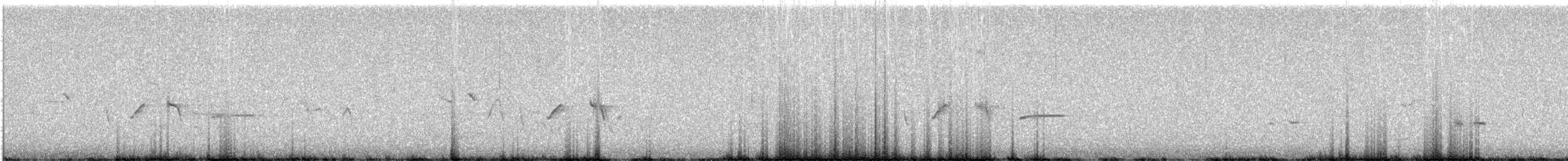 Щетинкодзьоб західний - ML645312490