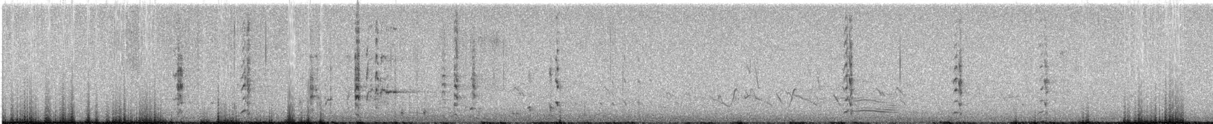 Медолюб-сережник західний - ML645312560