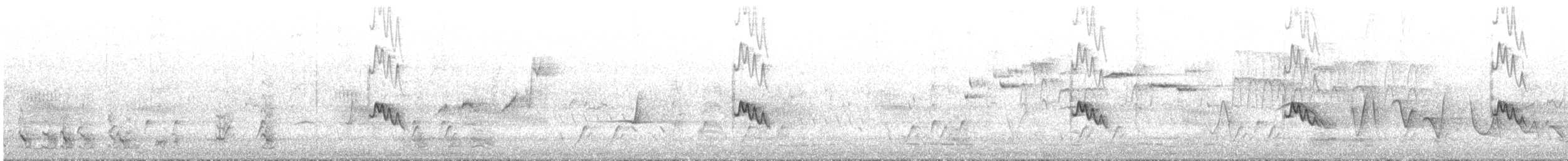 passerine sp. - ML645312982