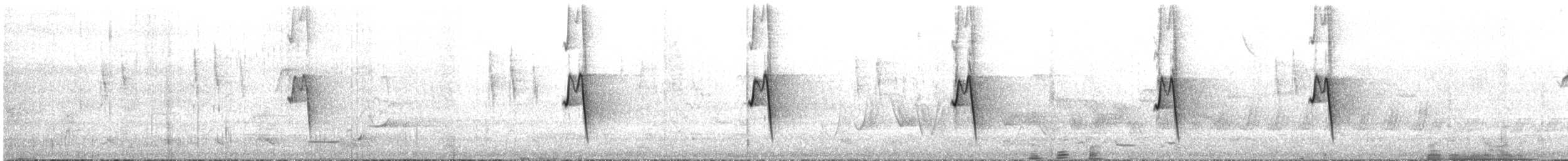 New Holland Honeyeater - ML645313125