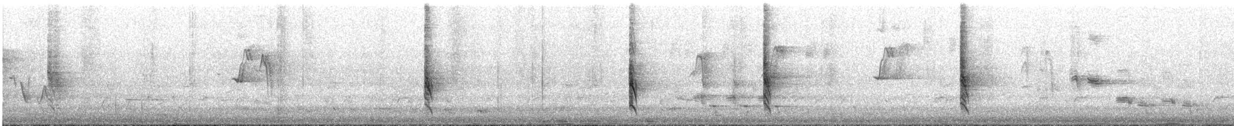 New Holland Honeyeater - ML645313179