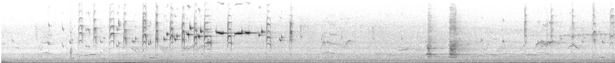 Gray Fantail (alisteri) - ML645313263