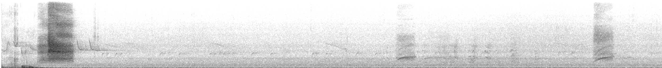 White-winged Chough - ML645313356