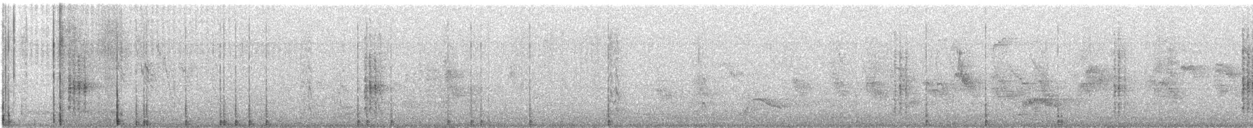 Carolina Wren - ML645313521