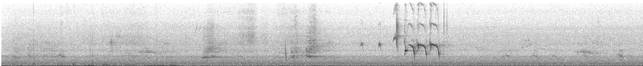 White-fronted Honeyeater - ML645313527