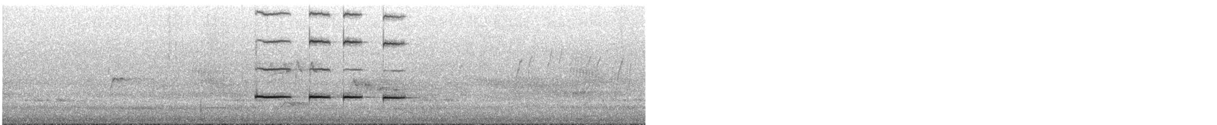 Australian Ringneck (Mallee) - ML645313615