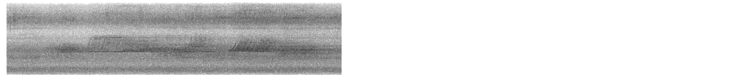 White-browed Wagtail - ML645313617