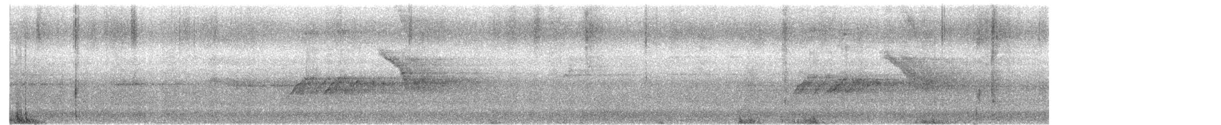 Bergeronnette indienne - ML645313901