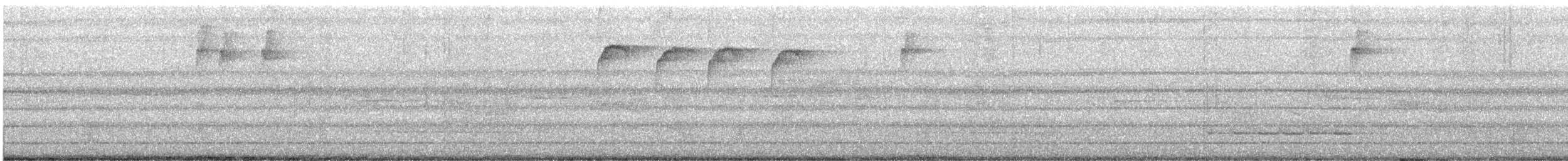 spettmeis - ML645314462