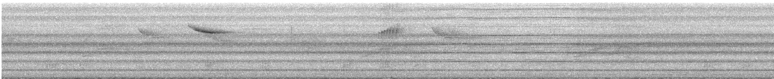 aurorafluesnapper - ML645314478