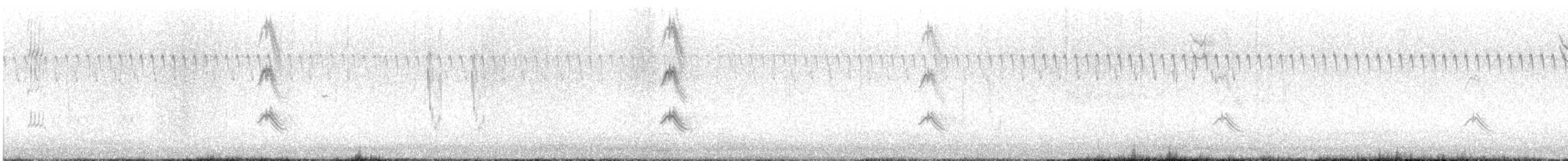 キビタイシメ（第3型） - ML645314548