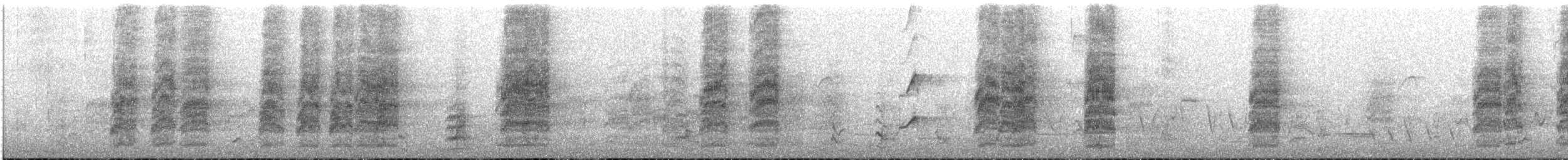 regnbuelori - ML645314589