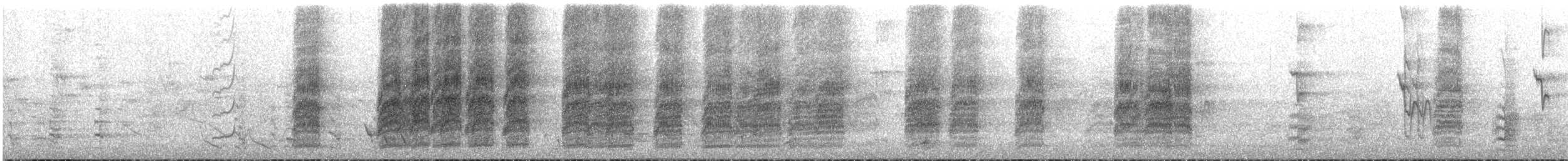 regnbuelori - ML645314593