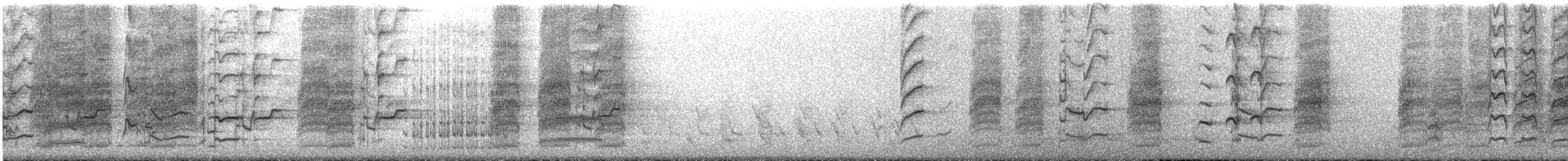 regnbuelori - ML645314594