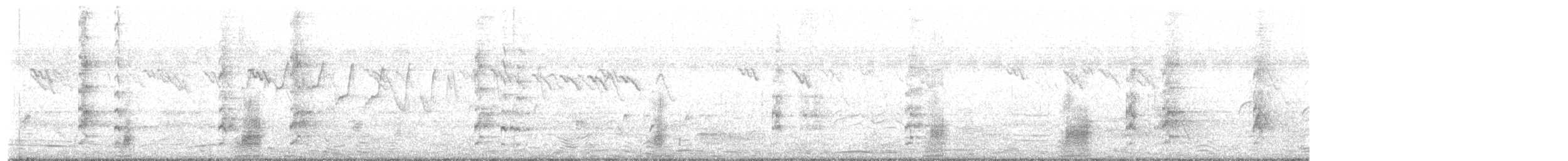 flekknebband - ML645314597