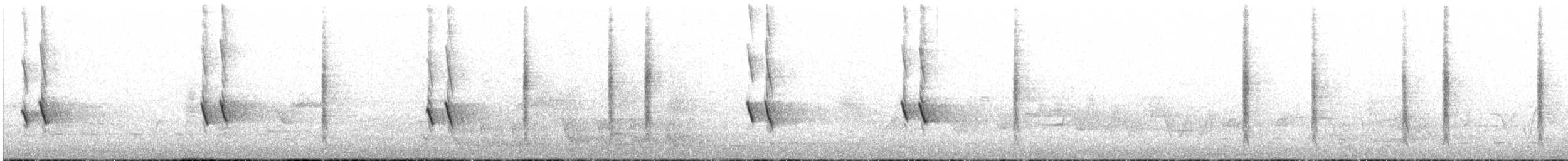 New Holland Honeyeater - ML645314652