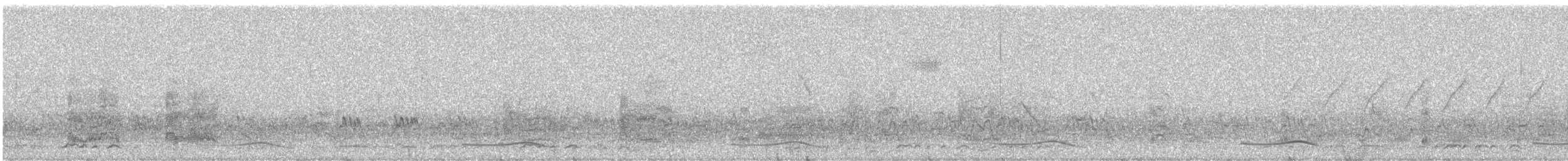 Oriental Darter - ML645314702